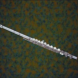 爾文樂器加盟全解析 條件、費用與聯系方式