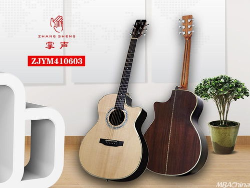 掌聲音樂(lè)器 以品牌戰(zhàn)略驅(qū)動(dòng)，布局千萬(wàn)級(jí)市場(chǎng)新藍(lán)圖